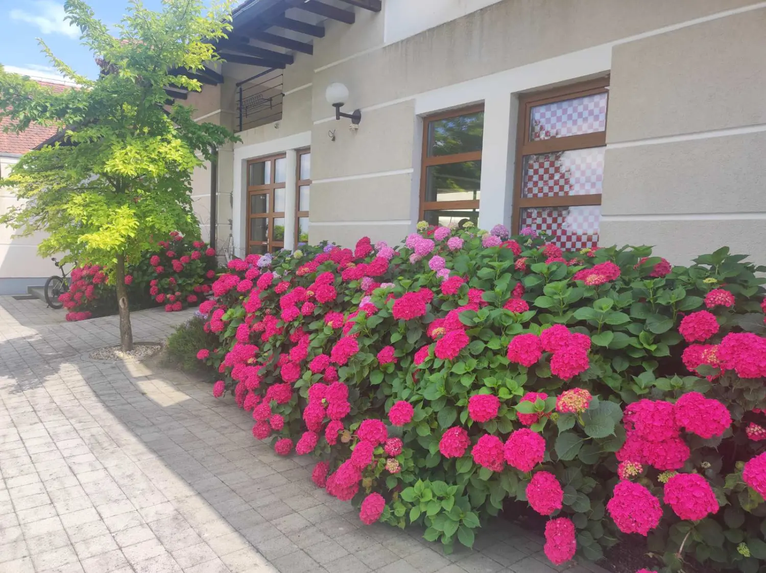 hotel golf, donji vidovec,dani jela (38)