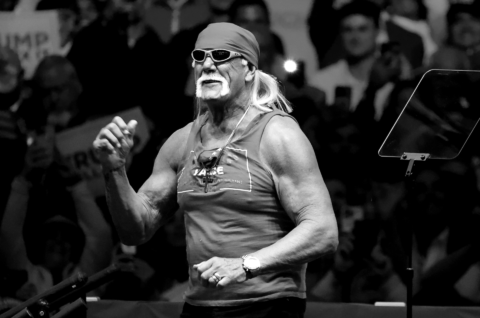 hulk hogan