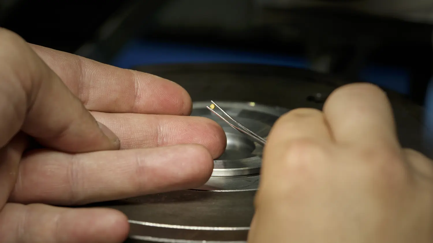 hum,najmanji zlatnik,kovanica (6)