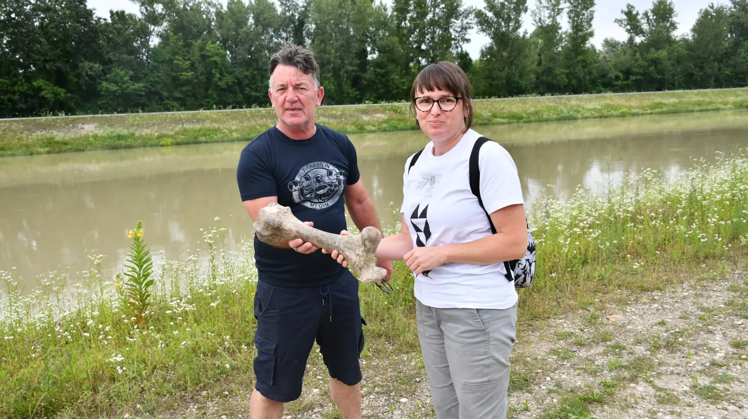 stepski bizon, mišo rašan,prelog