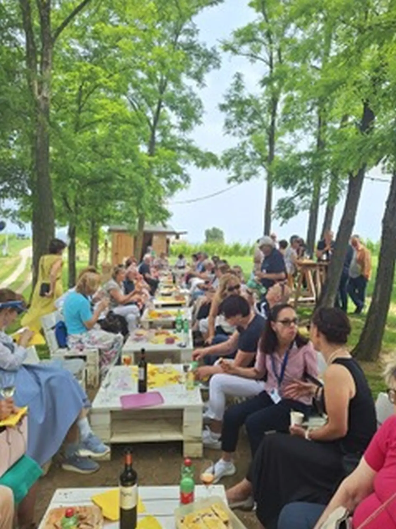 inner wheel, obljetnica (13) inner wheel, obljetnica (13)