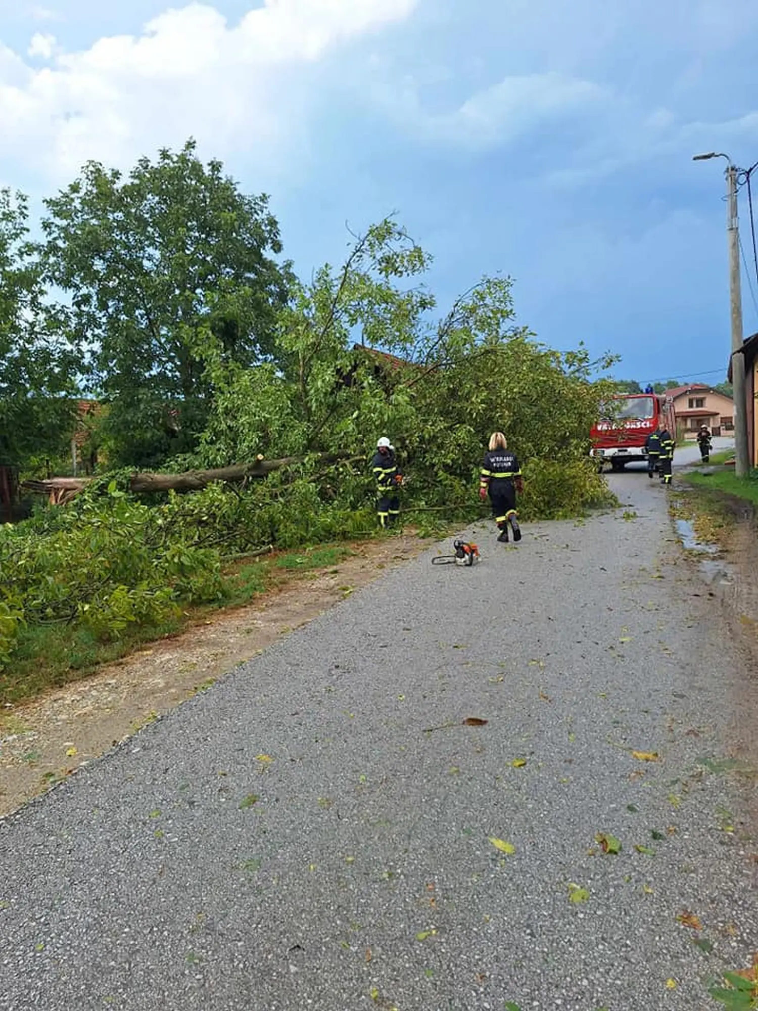 intervencija dvd podturen (14) intervencija dvd podturen (14)