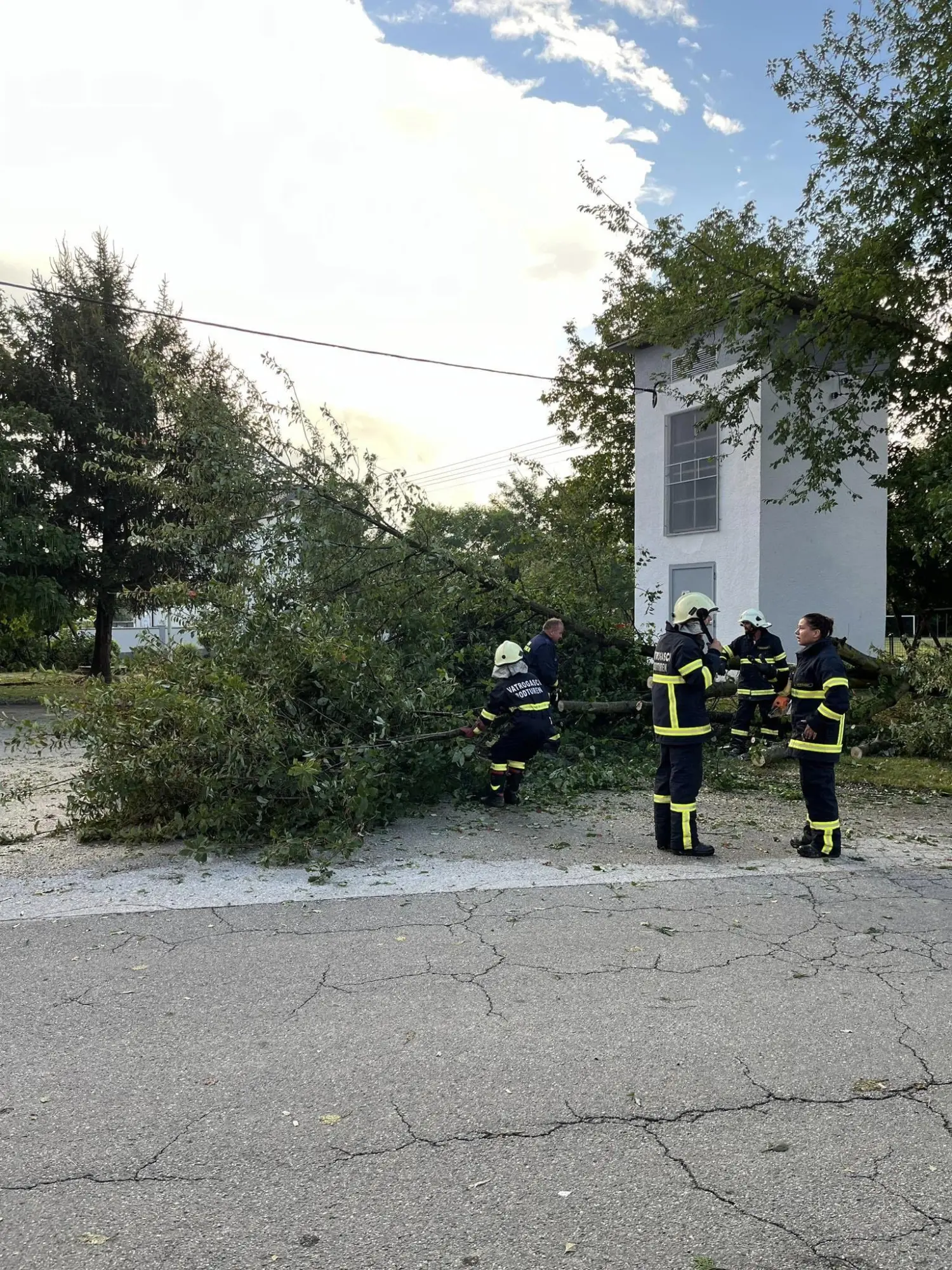 intervencija dvd podturen (15) intervencija dvd podturen (15)