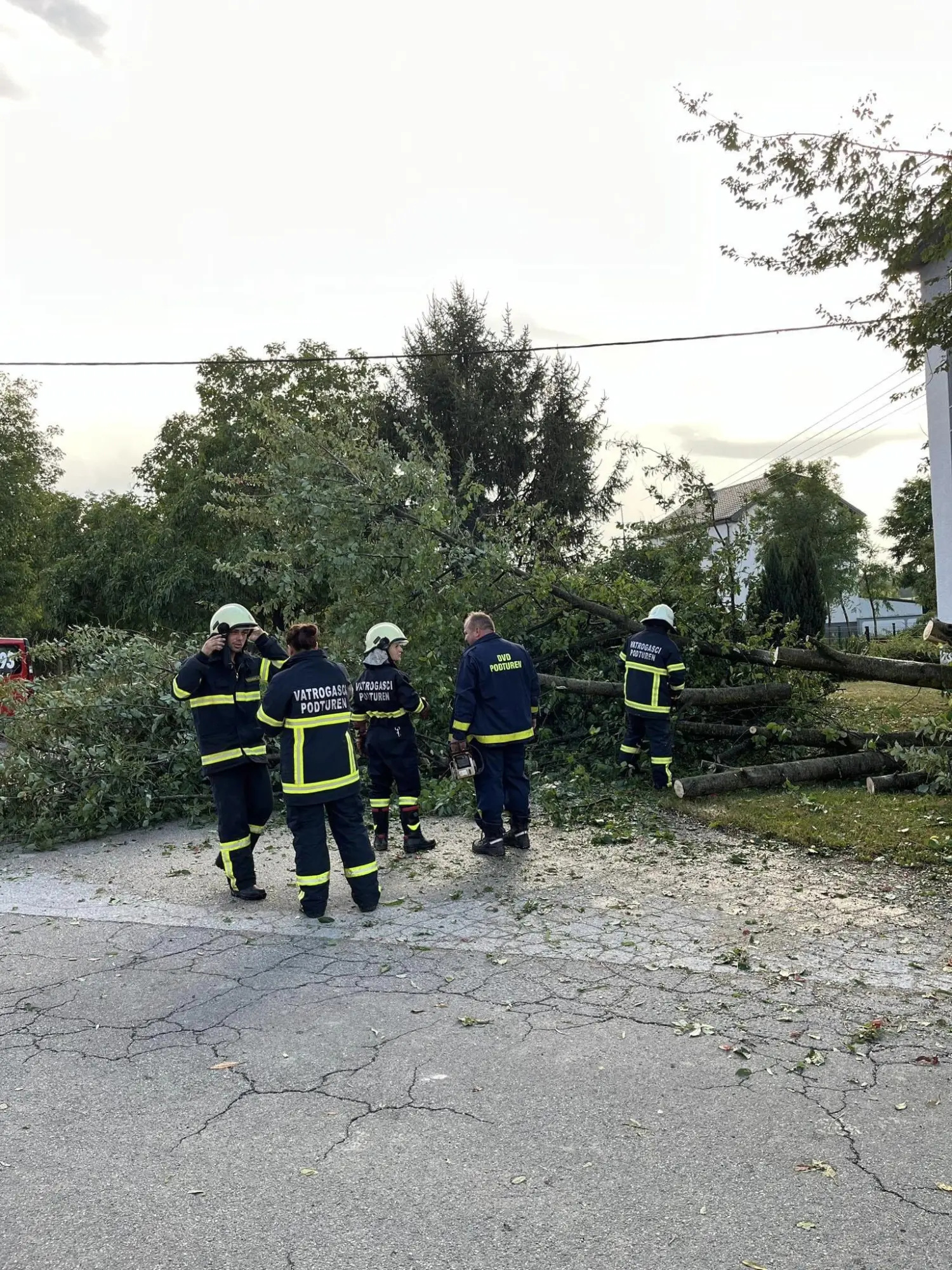 intervencija dvd podturen (2) intervencija dvd podturen (2)