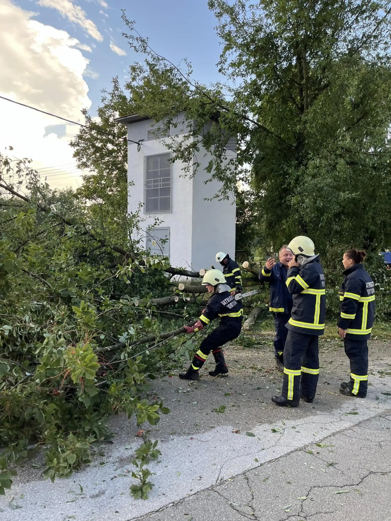 intervencija dvd podturen (20) intervencija dvd podturen (20)