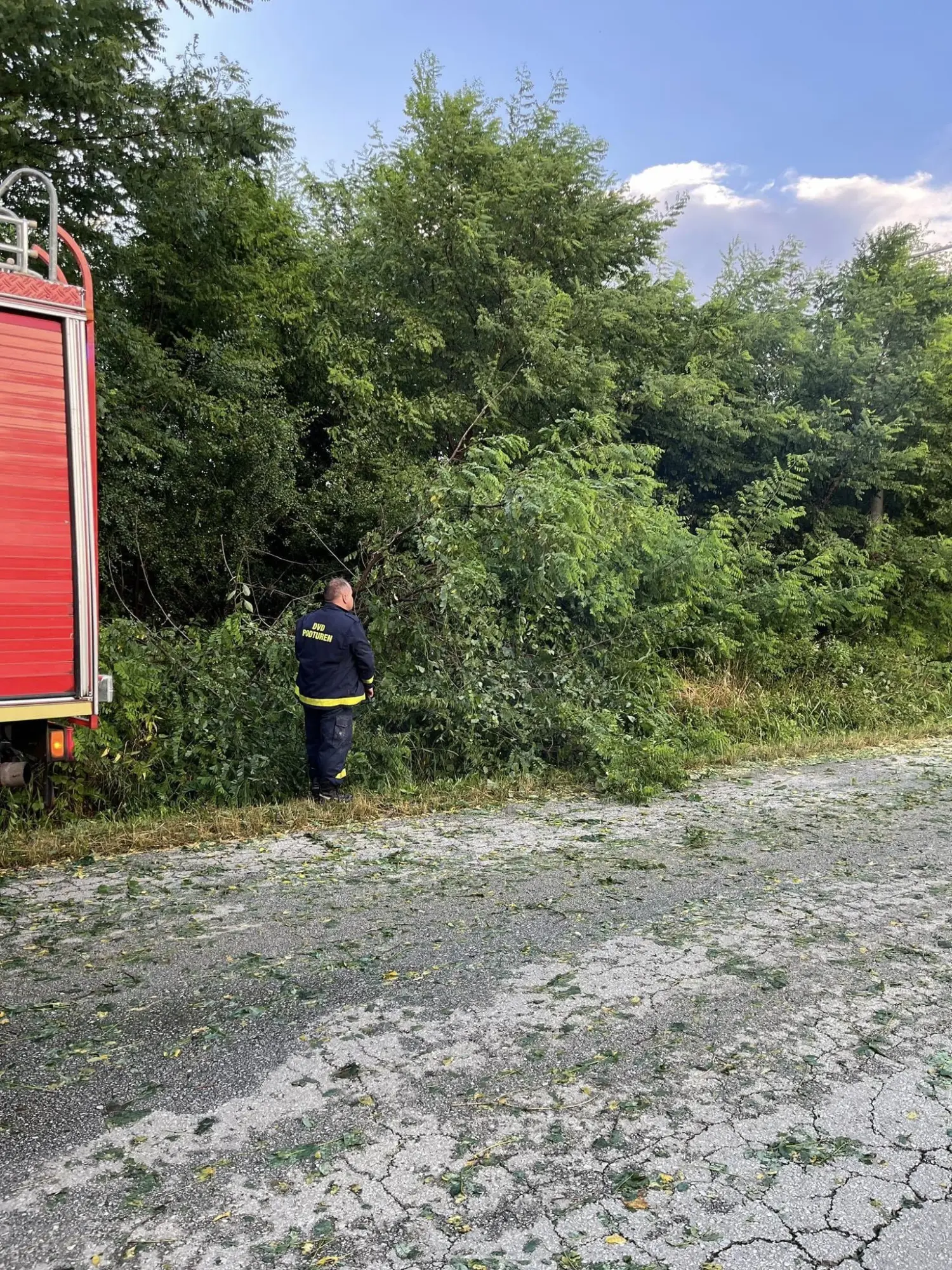 intervencija dvd podturen (3) intervencija dvd podturen (3)