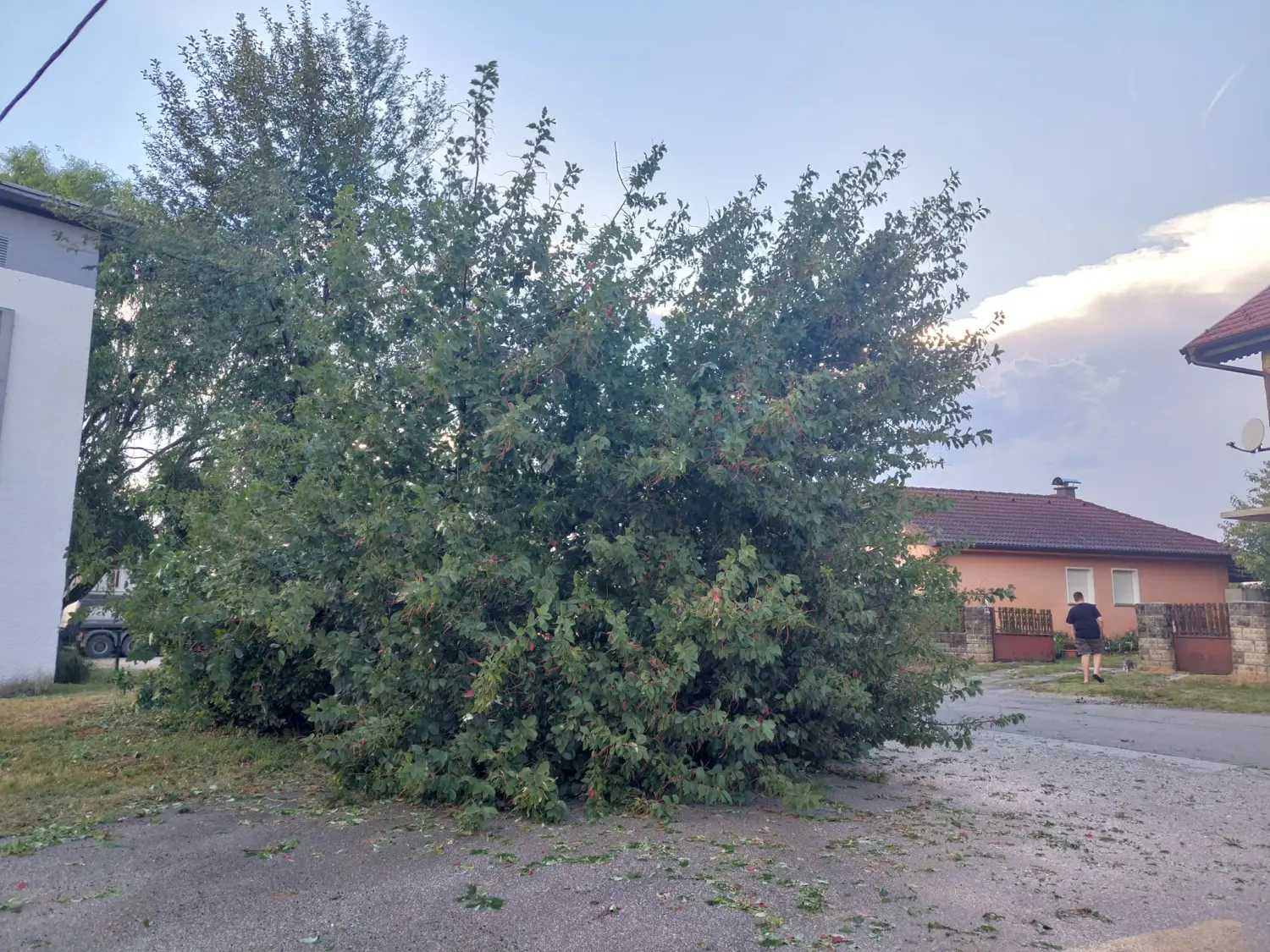 intervencija dvd podturen (6) intervencija dvd podturen (6)