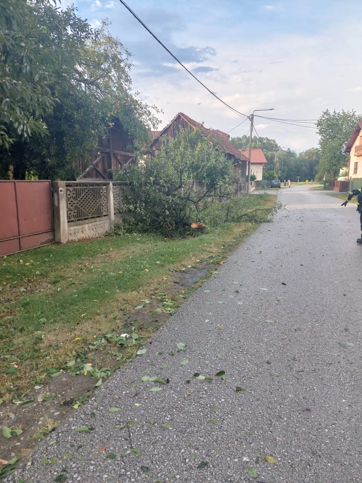 intervencija dvd podturen (7) intervencija dvd podturen (7)