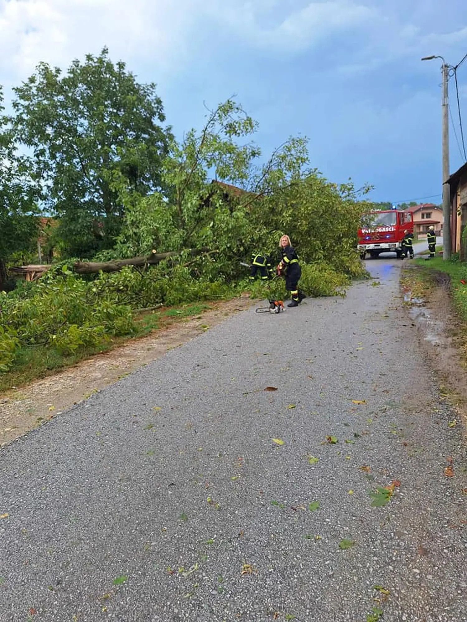 intervencija dvd podturen (9) intervencija dvd podturen (9)