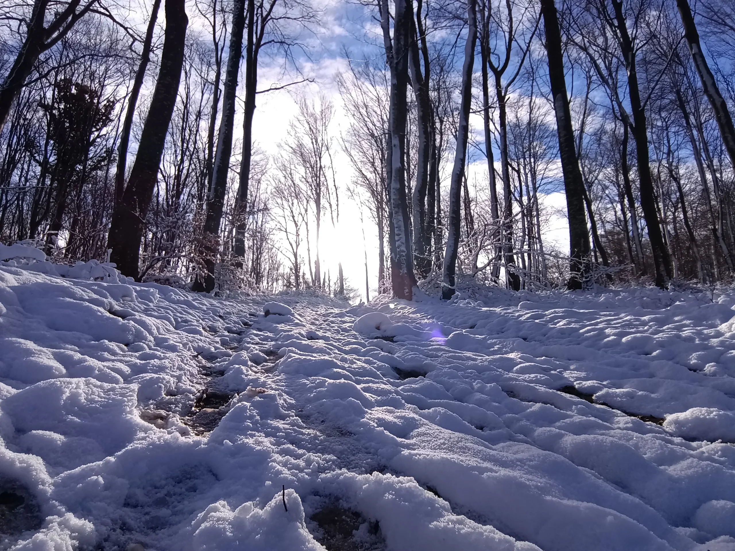 ivančica,milengrad Danijel Mikolaj (10)