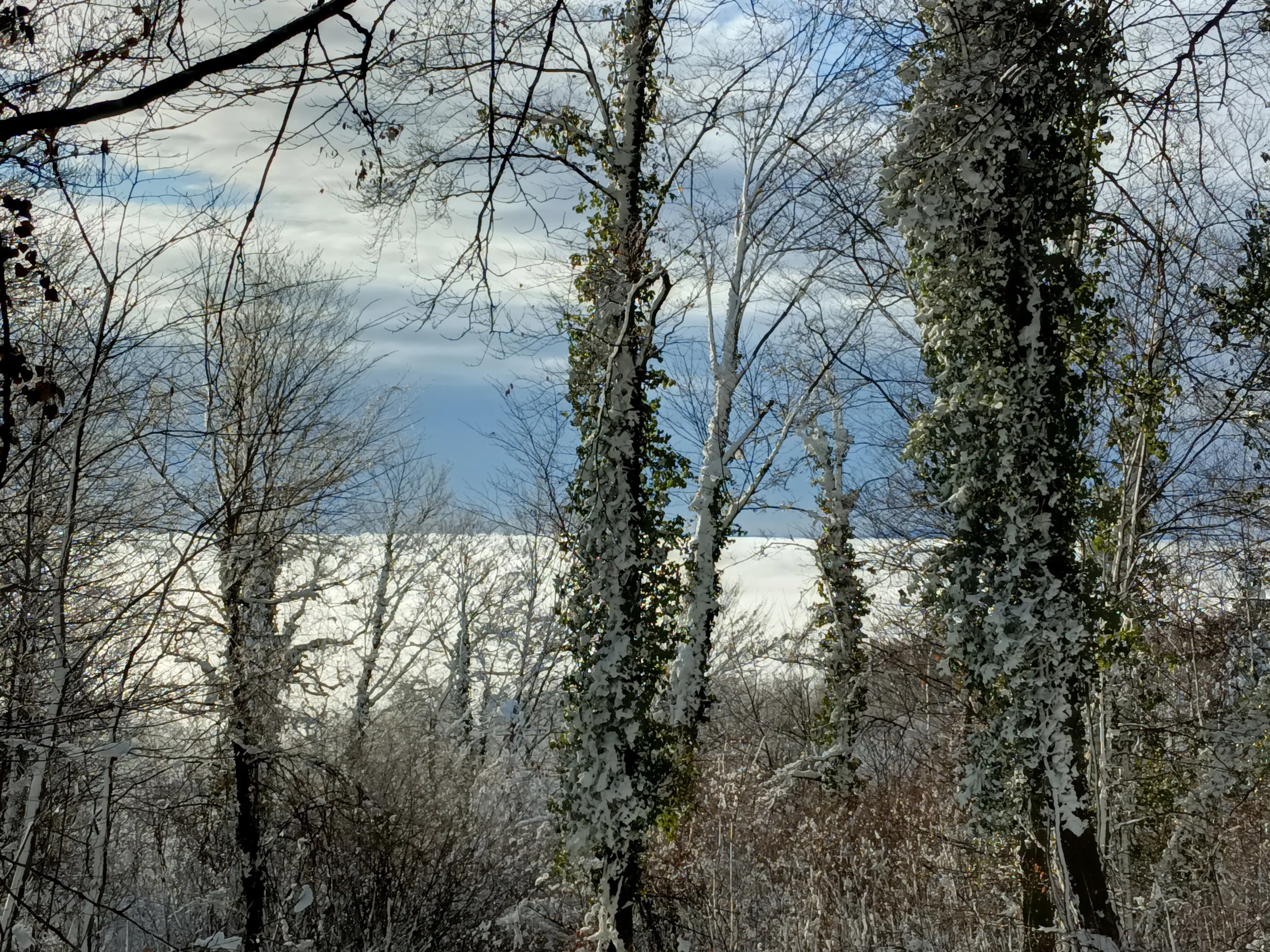 ivančica,milengrad Danijel Mikolaj (9)
