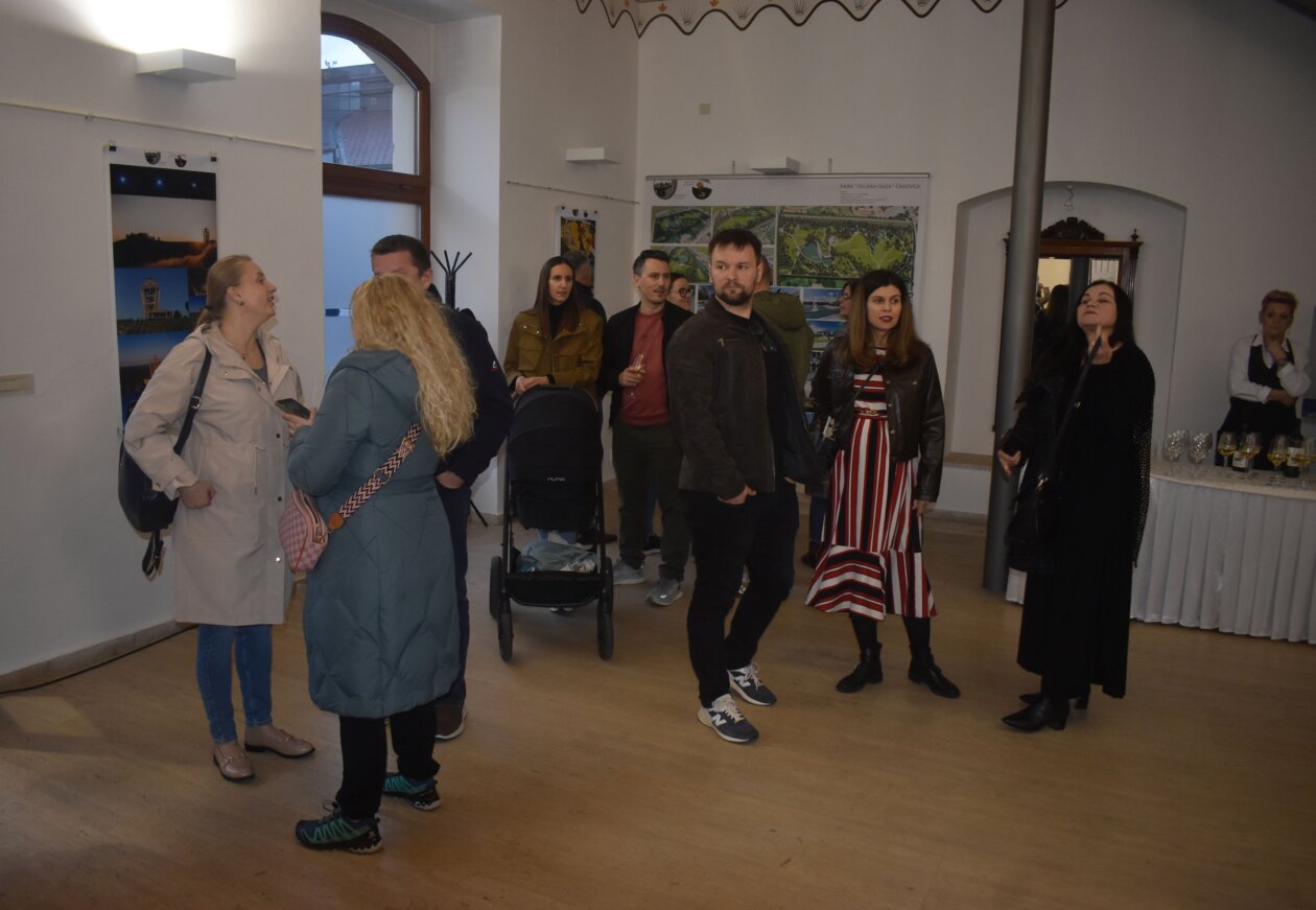 izložba bojan perhoč (3)