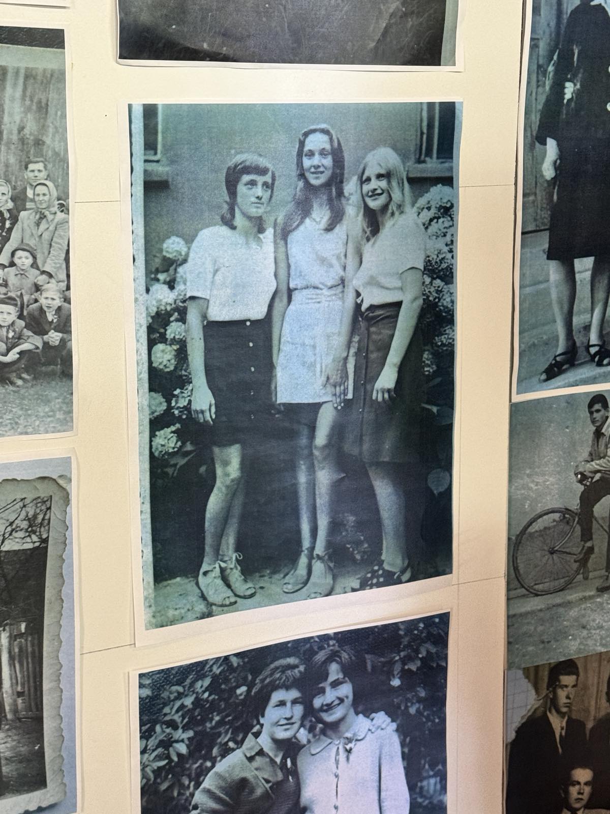 izložba knezovec 2025 (17) izložba knezovec 2025 (17)