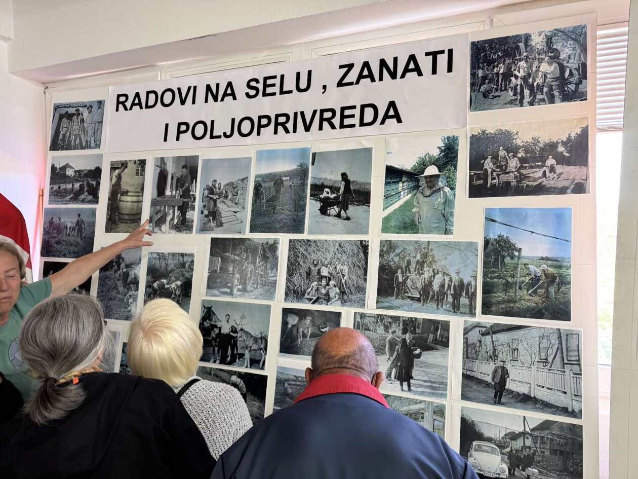 izložba knezovec 2025 (25)