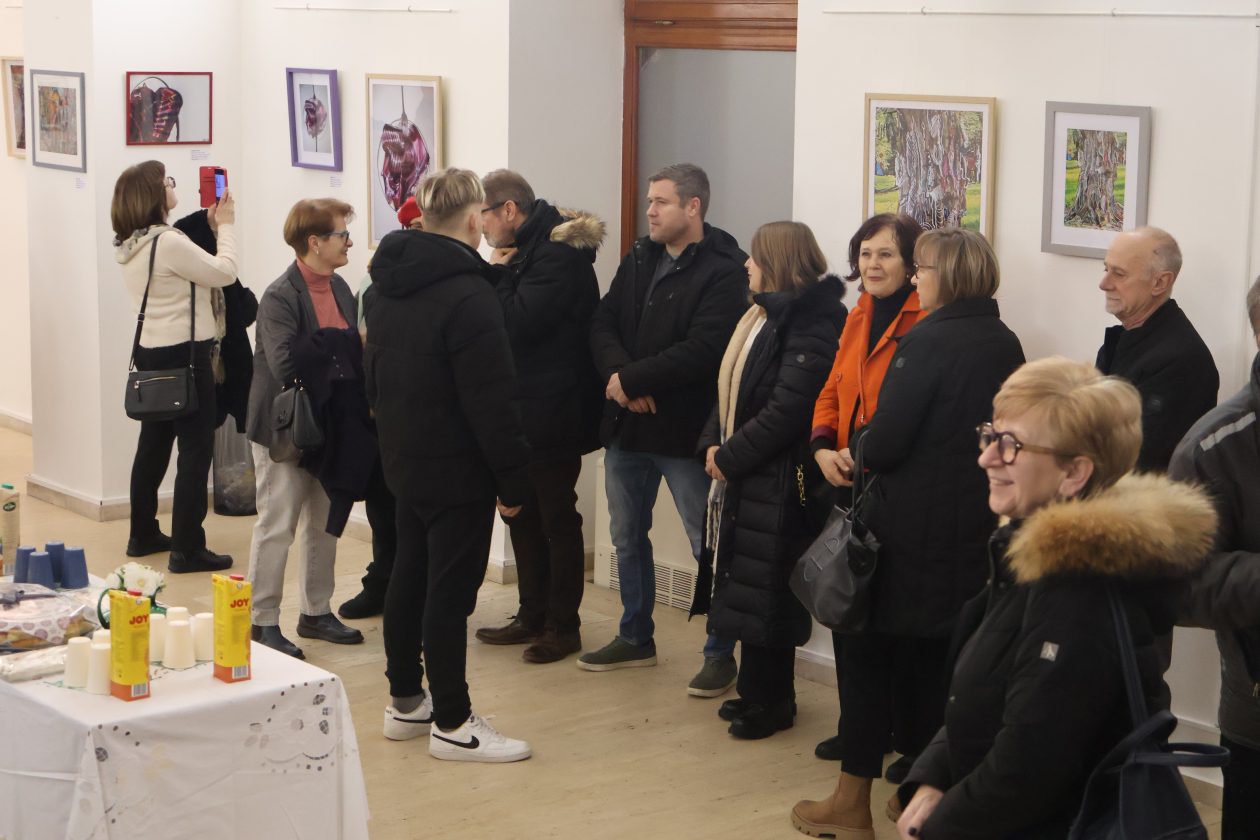 izlozba krizan (26) izlozba krizan (26)