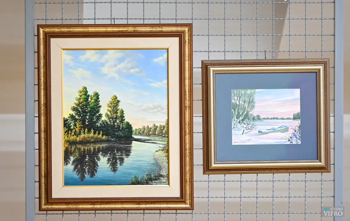 izložba ludm prelog 2024 (11) izložba ludm prelog 2024 (11)