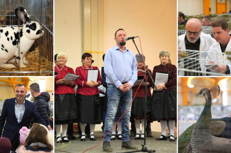 izložba malih životinja (2)