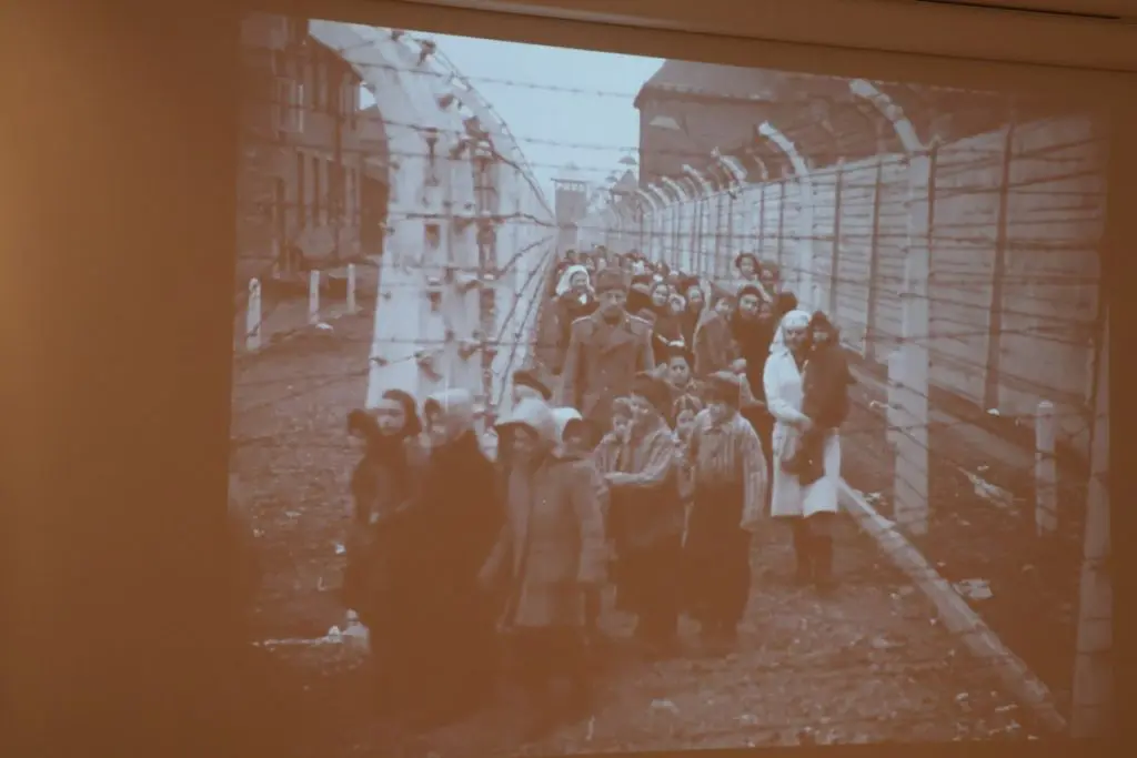 izložba o dvama transportima,riznica međimurja,holokaust (26)