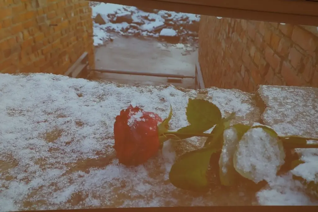 izložba o dvama transportima,riznica međimurja,holokaust (28)