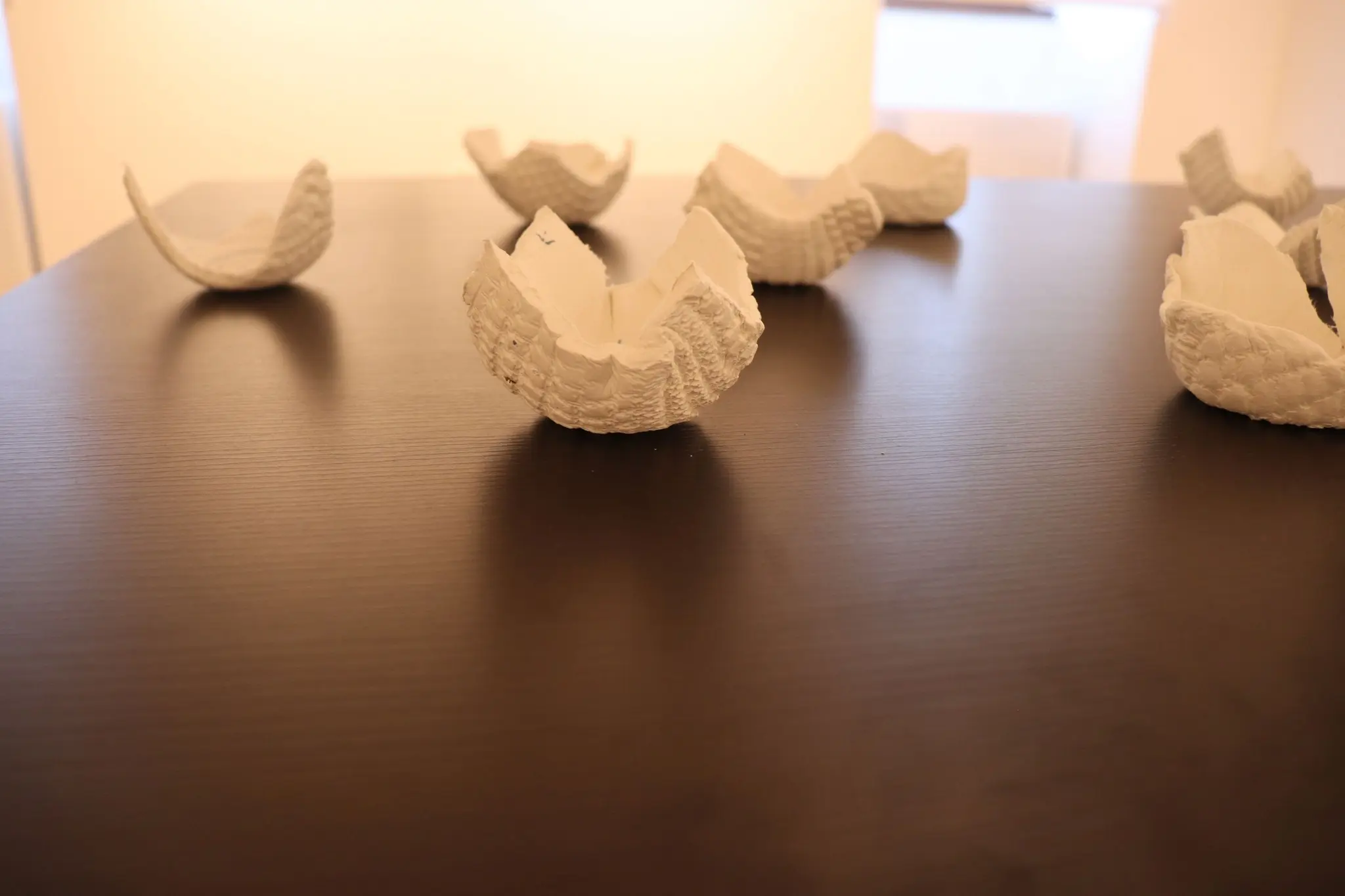 izložba radova, muzej, (14) izložba radova, muzej, (14)