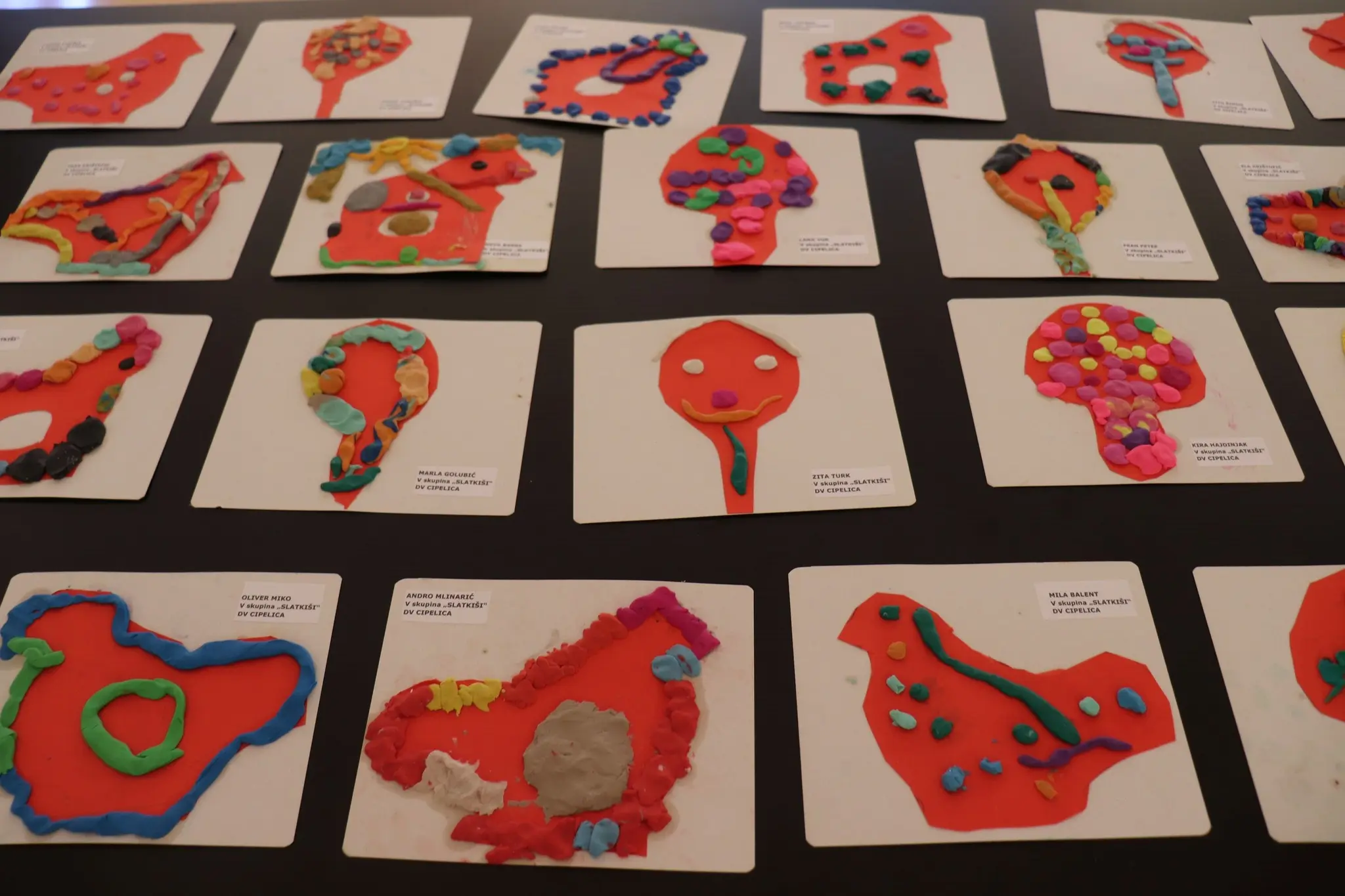 izložba radova, muzej, (15) izložba radova, muzej, (15)