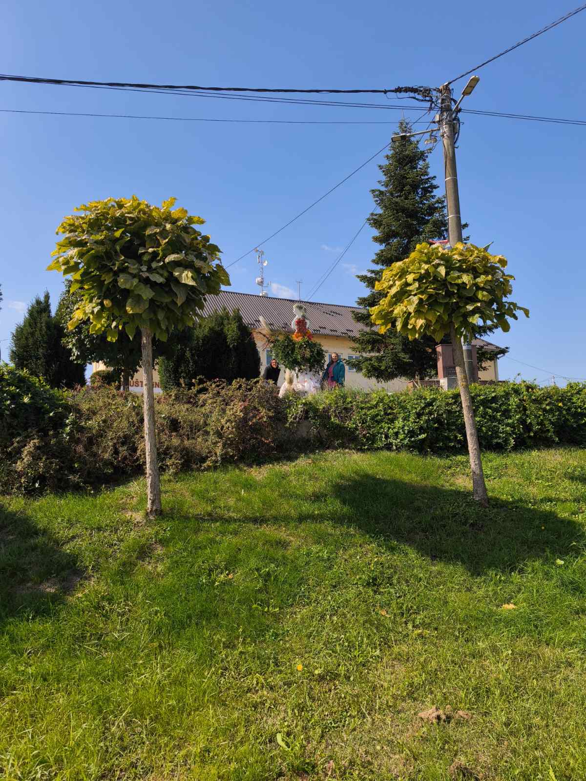 jEsenska dama, jesan u Belici, Belica 2025 (3)