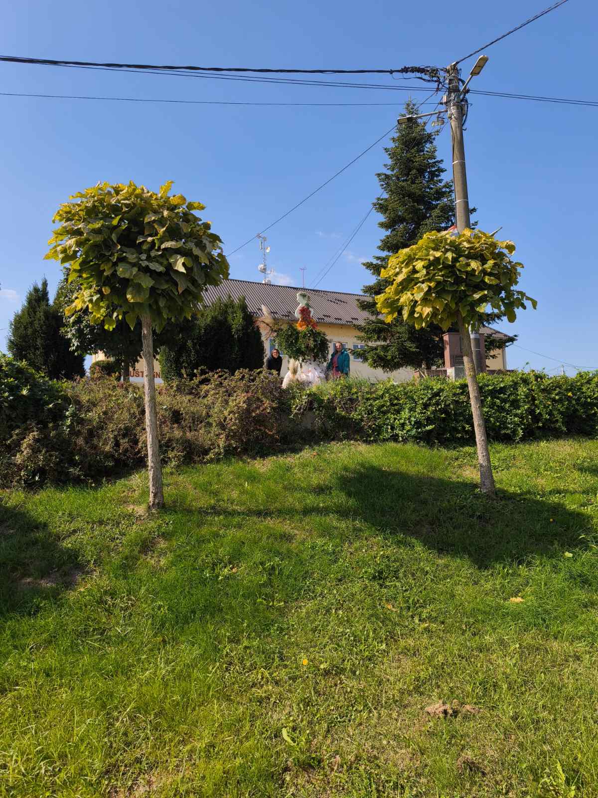 jEsenska dama, jesan u Belici, Belica 2025 (4)