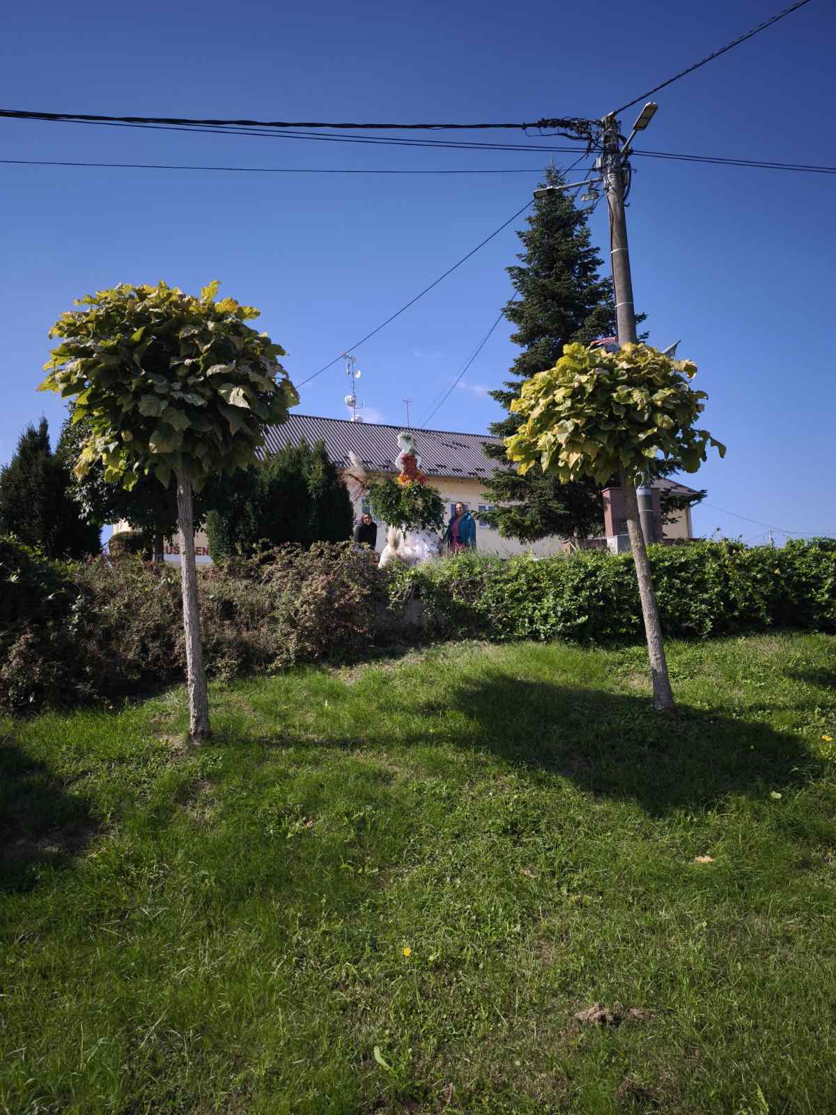 jEsenska dama, jesan u Belici, Belica 2025 (8)