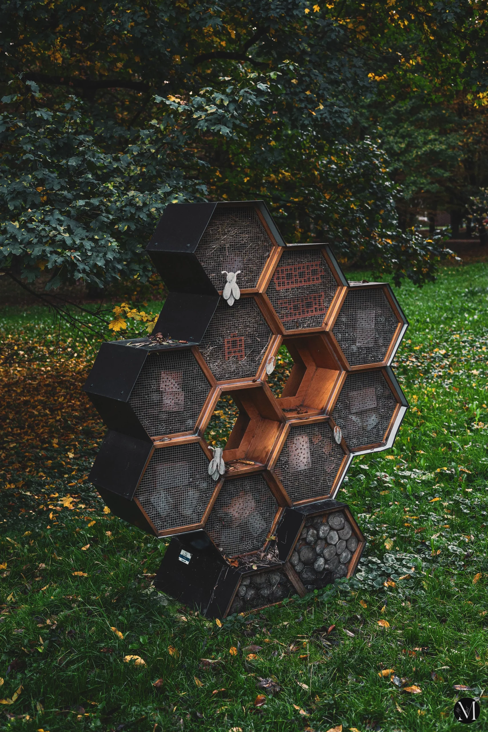 jesen, mateja balent (10) jesen, mateja balent (10)