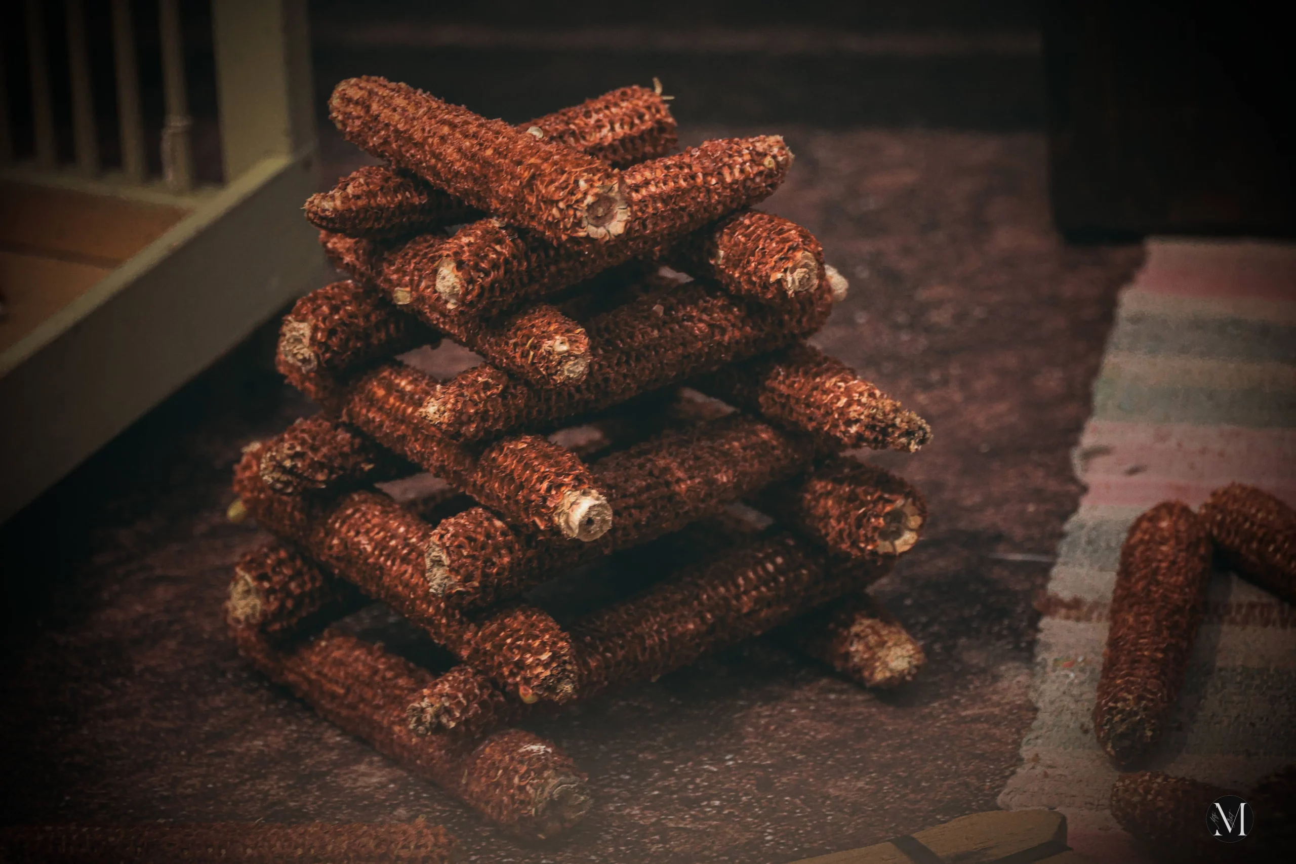 jesen, mateja balent (2) jesen, mateja balent (2)