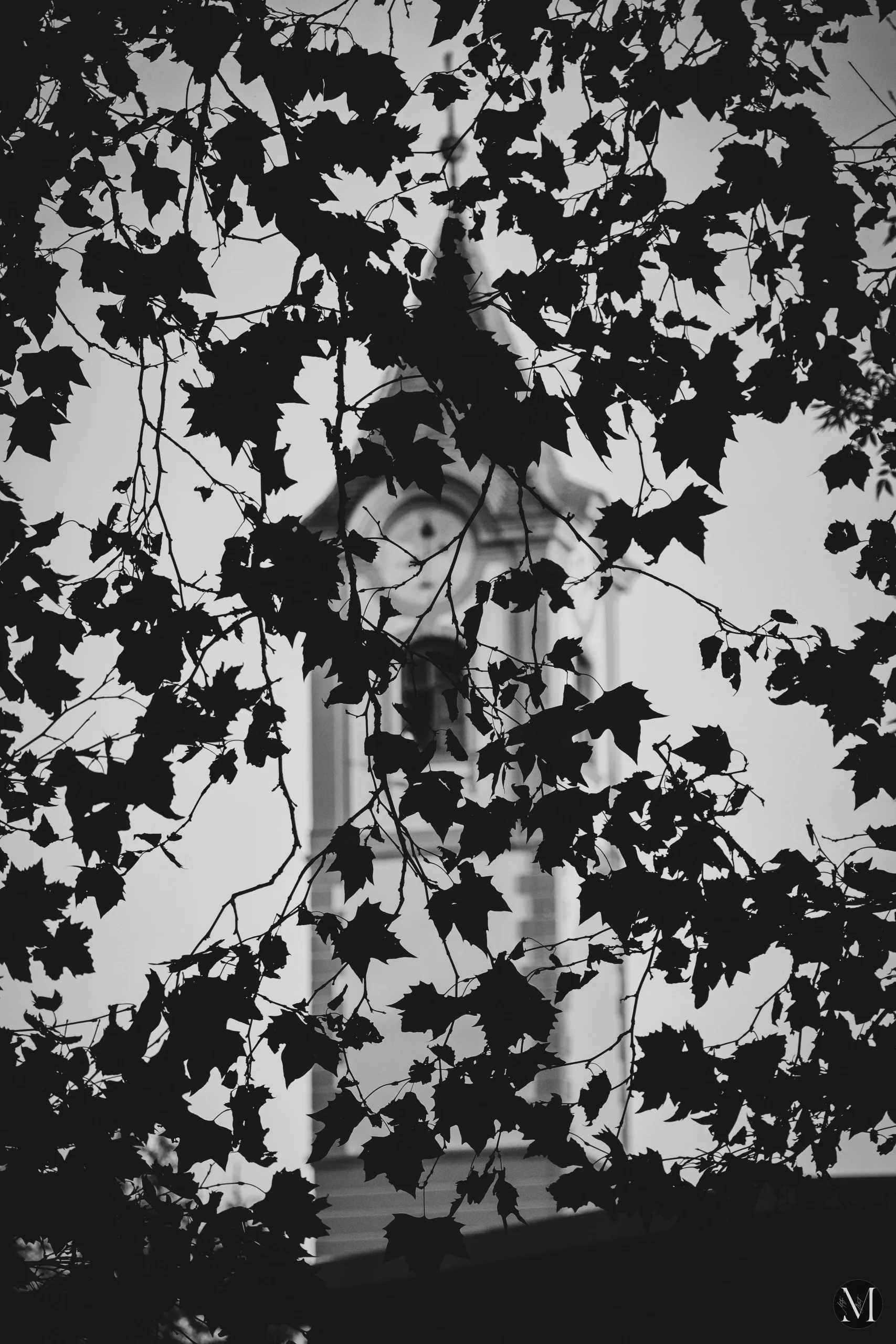 jesen, mateja balent (5) jesen, mateja balent (5)