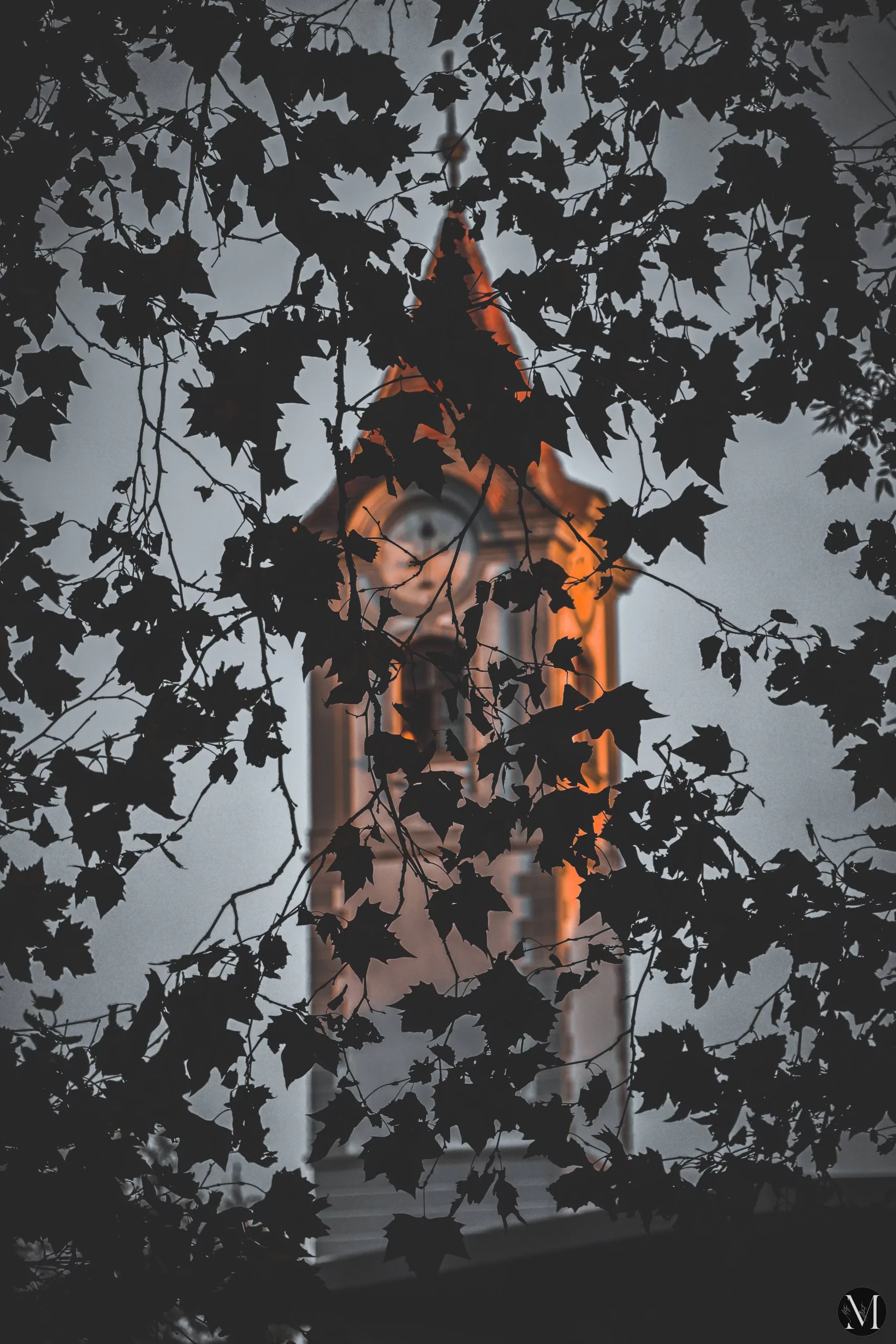 jesen, mateja balent (6) jesen, mateja balent (6)