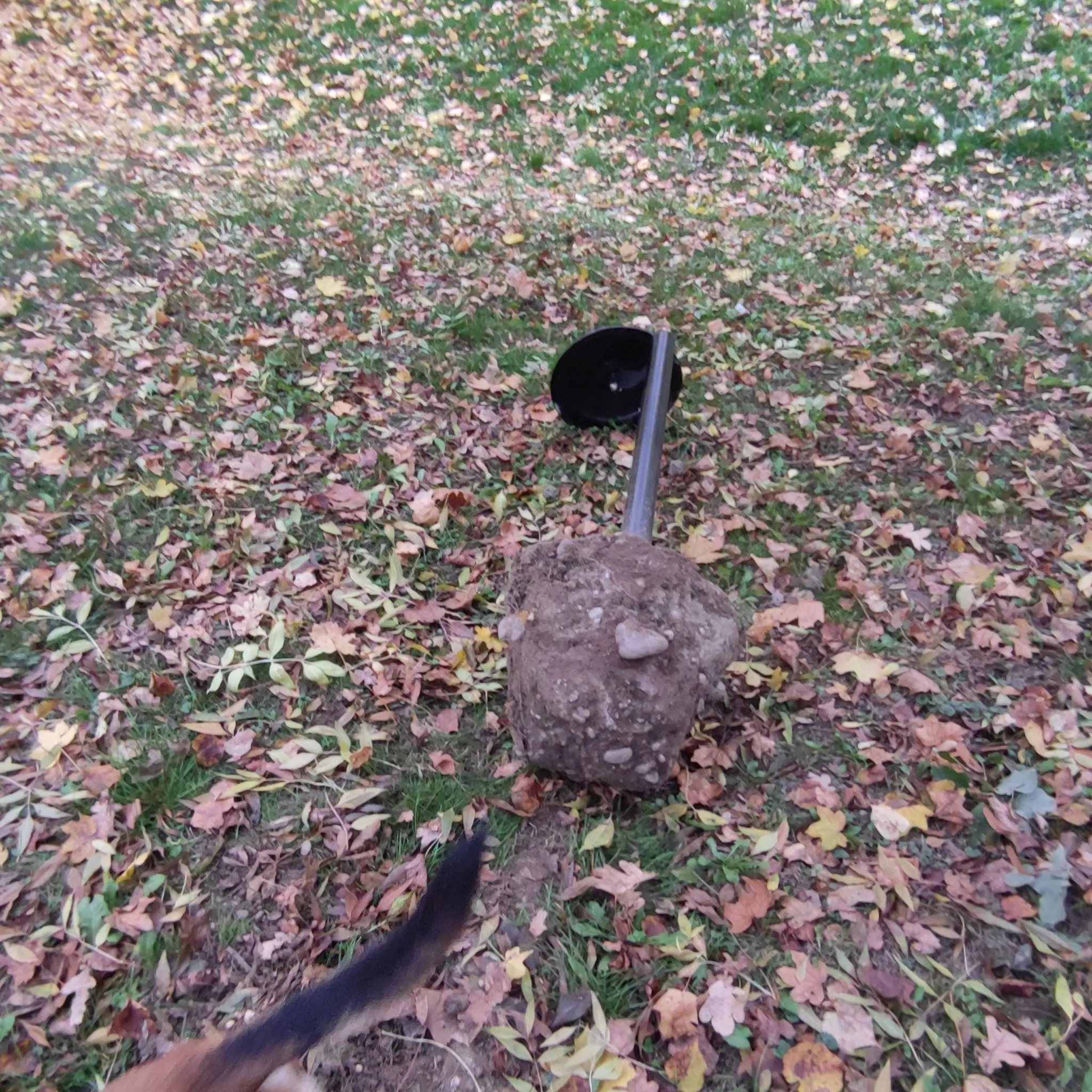 kante, perivoj zrinski (1) kante, perivoj zrinski (1)