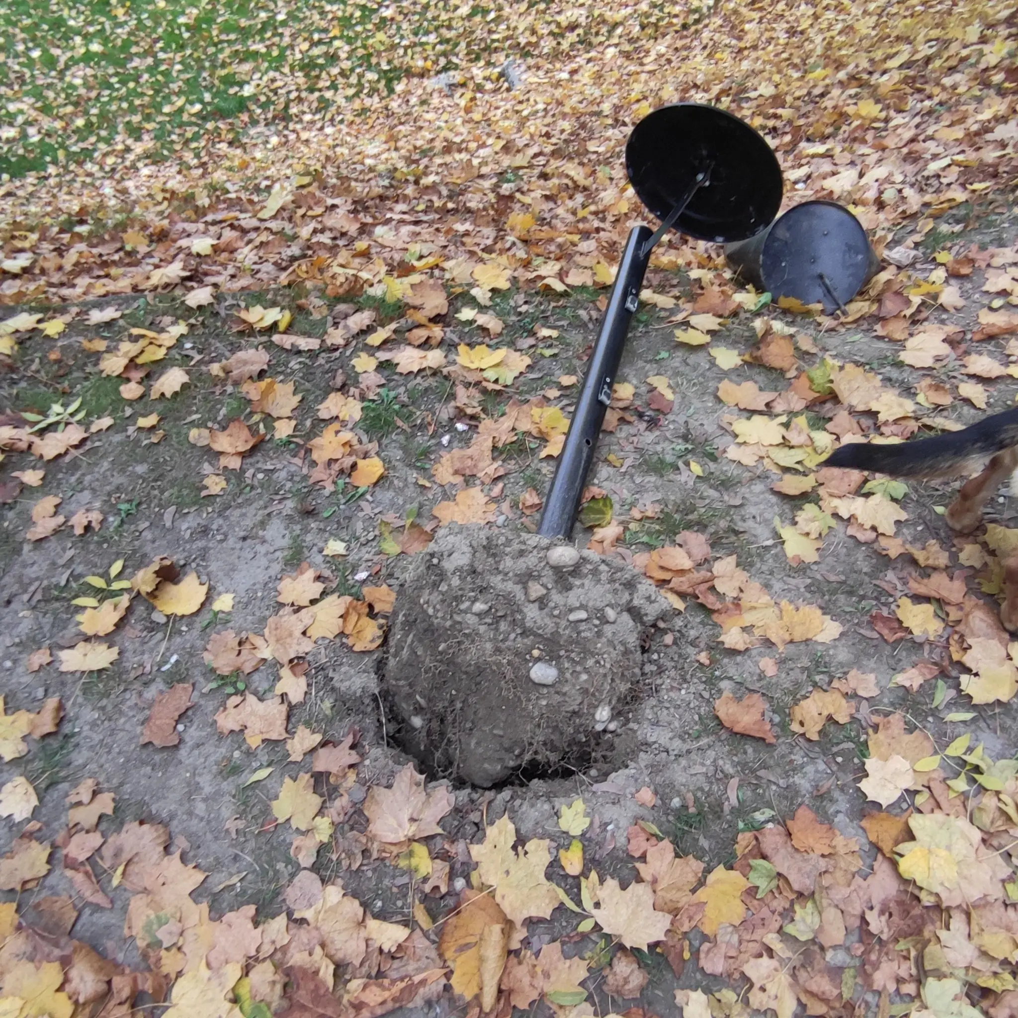 kante, perivoj zrinski (2) kante, perivoj zrinski (2)