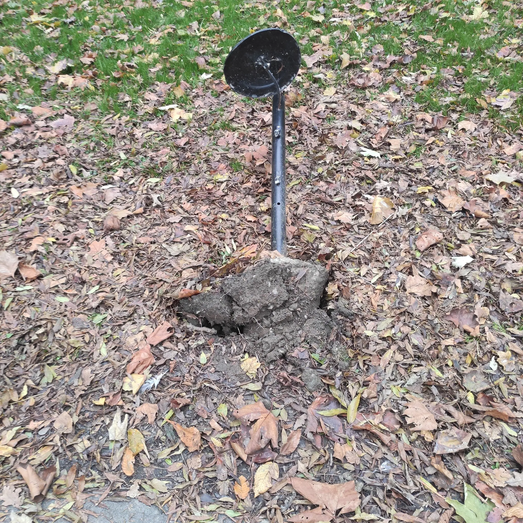 kante, perivoj zrinski (5) kante, perivoj zrinski (5)