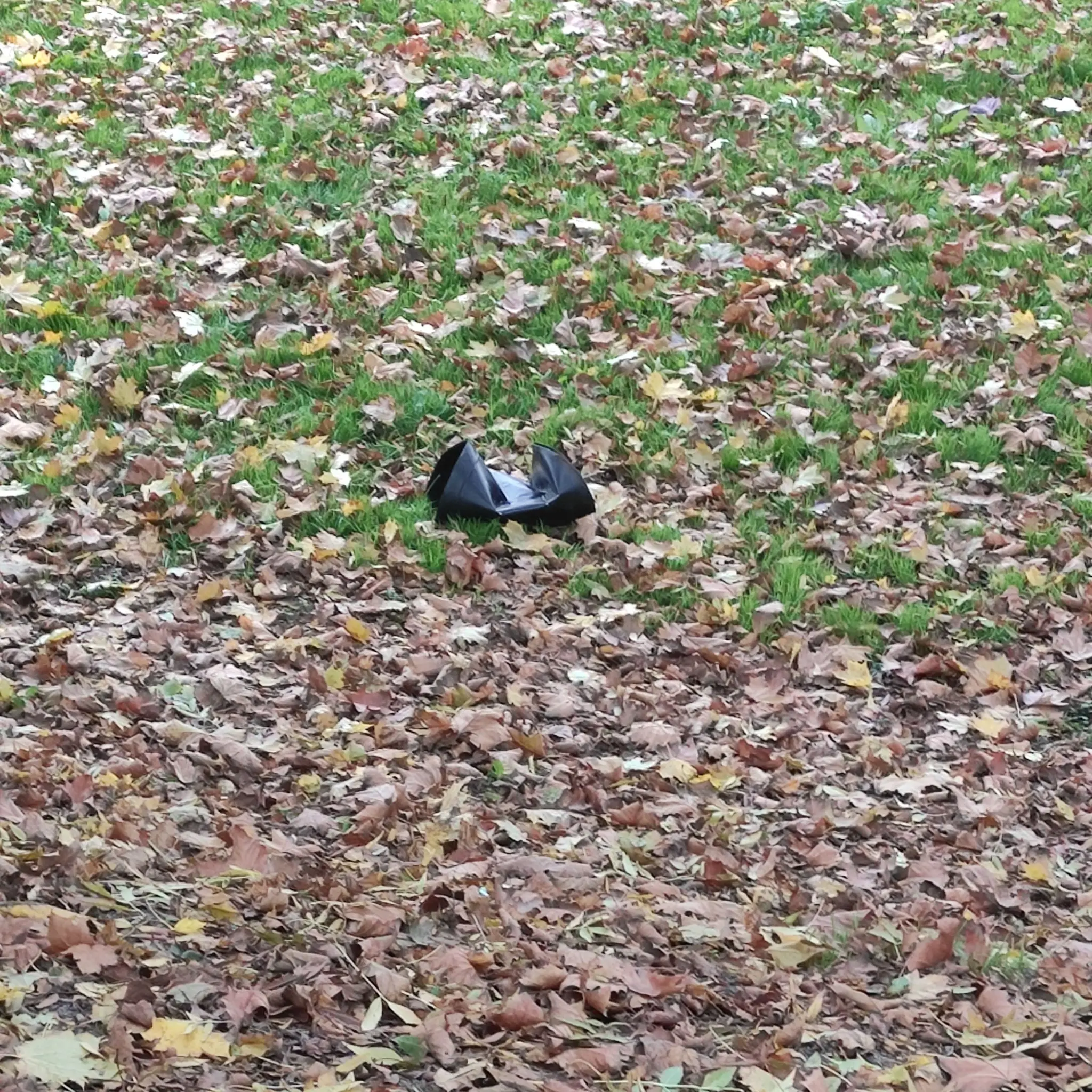 kante, perivoj zrinski (6) kante, perivoj zrinski (6)