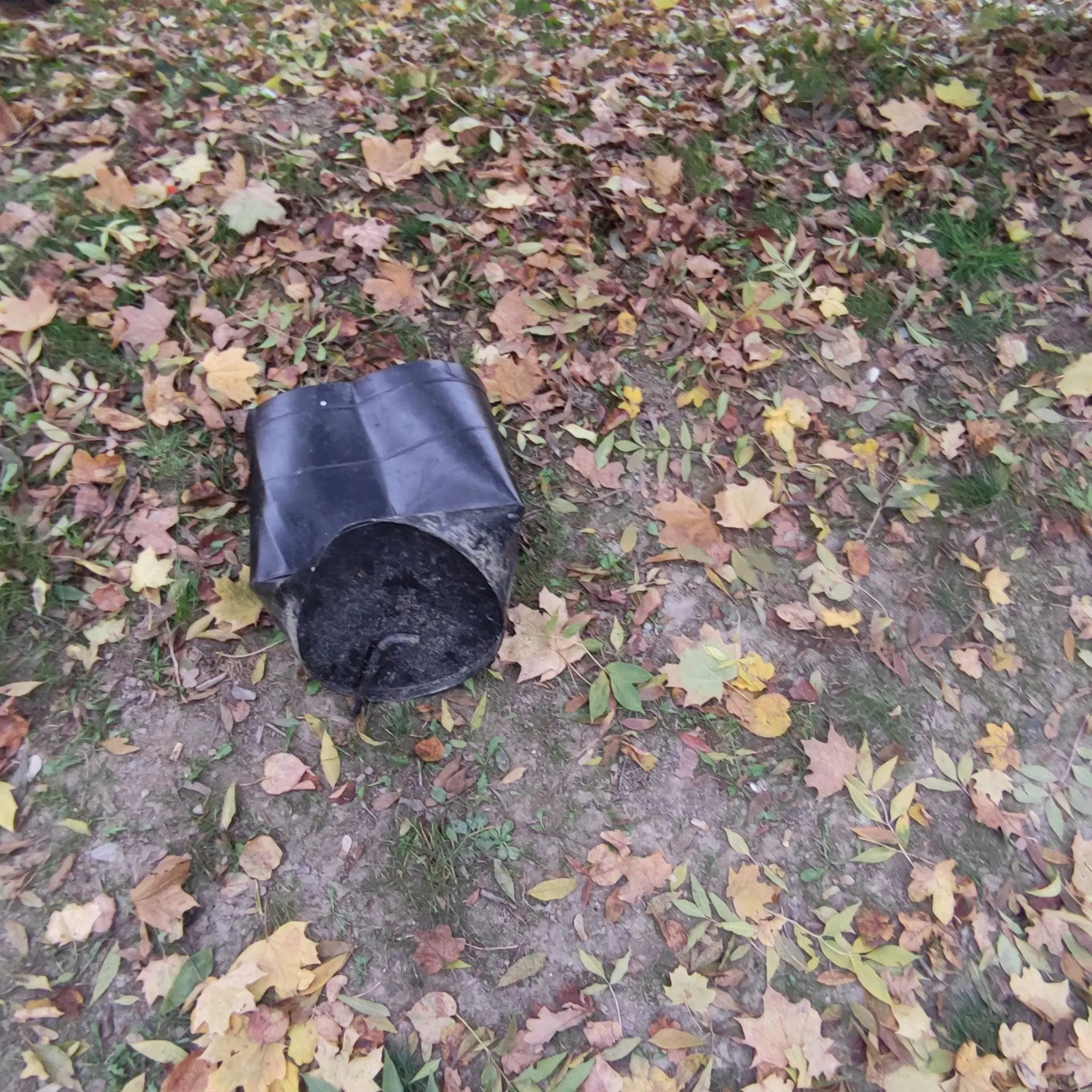 kante, perivoj zrinski (8) kante, perivoj zrinski (8)