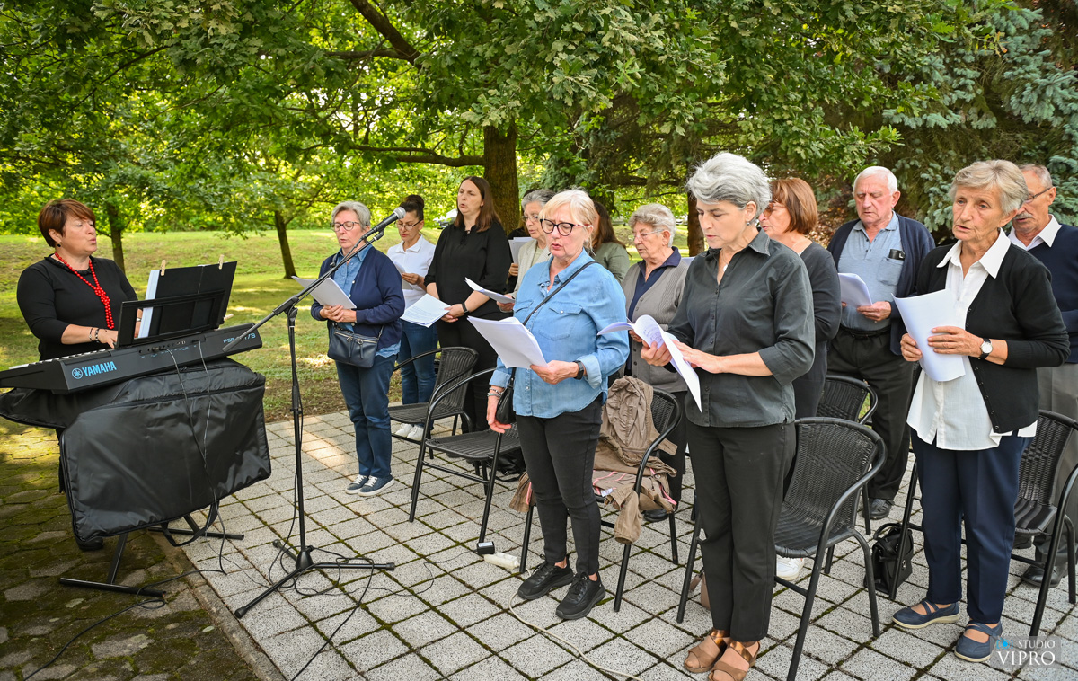 studio VIPRO studio VIPRO