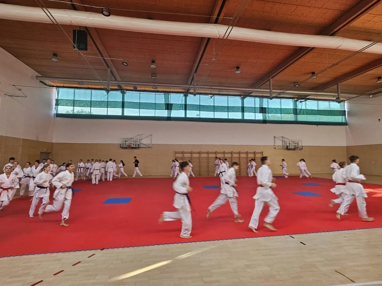 karate (6)