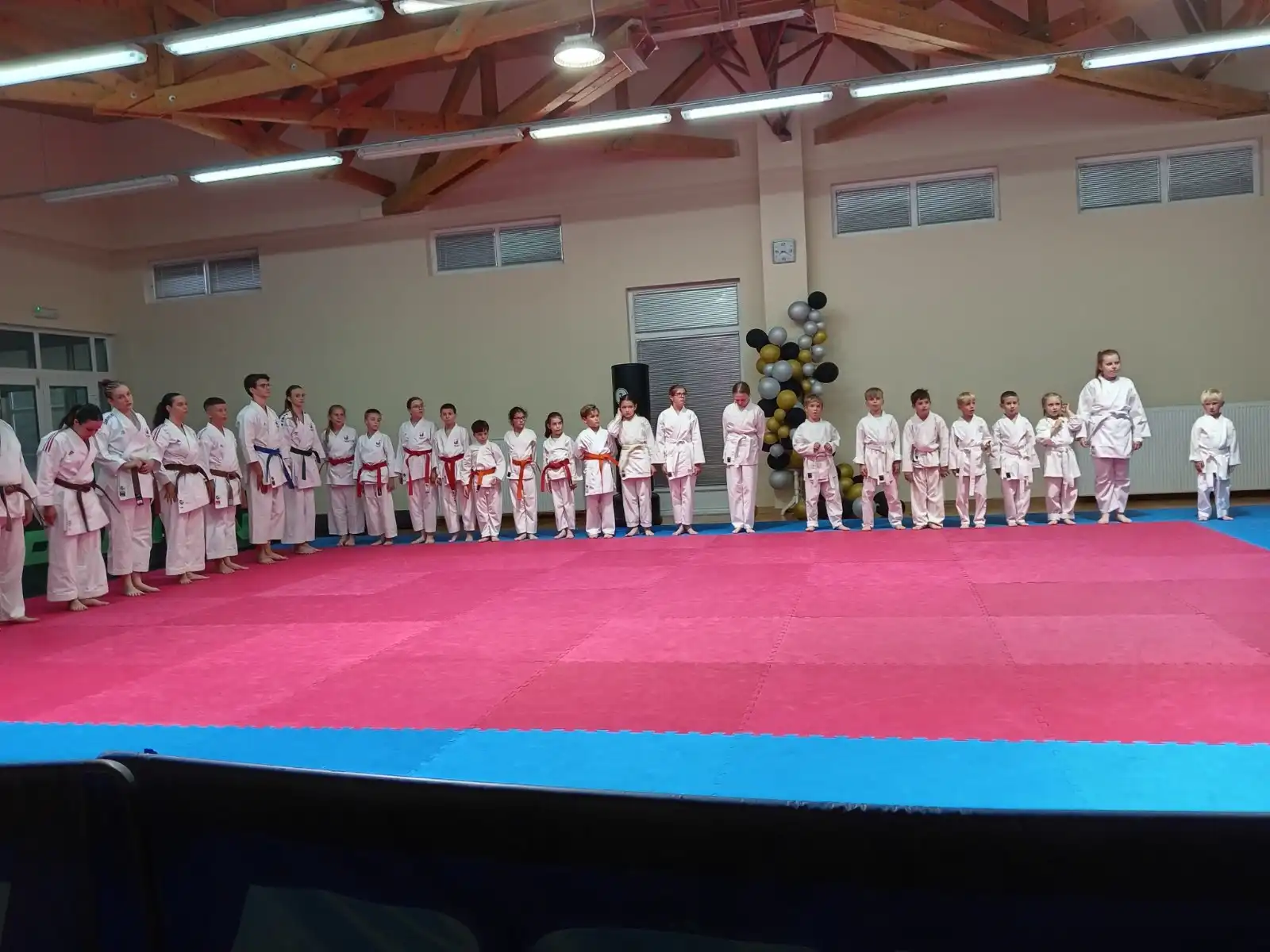 karate centar šenkovec (1) karate centar šenkovec (1)