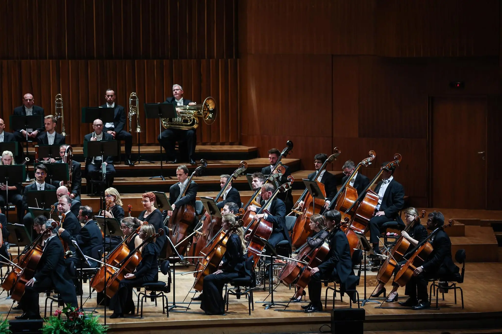 karlo čeh (1) karlo čeh (1)