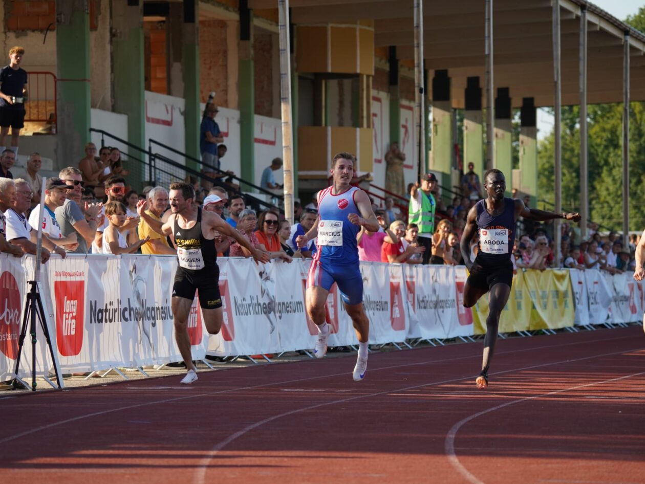karlo marciuš (4)