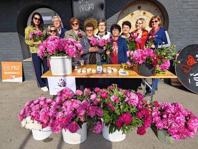 katruže za katružu (2)