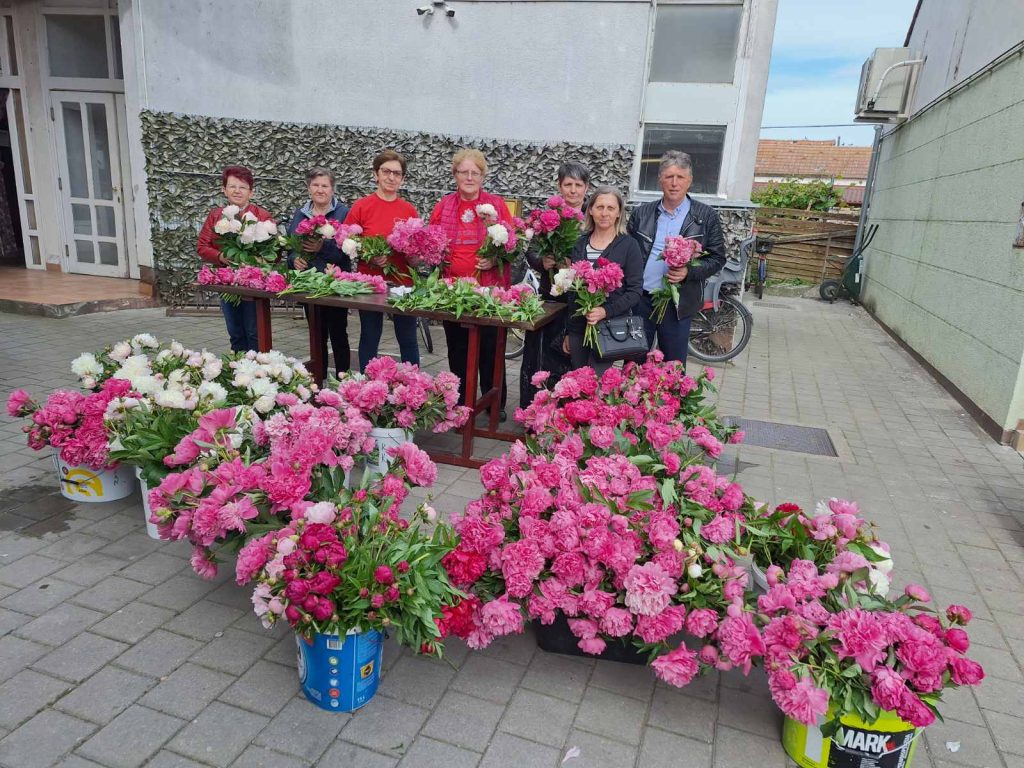 katruže za katružu (8)