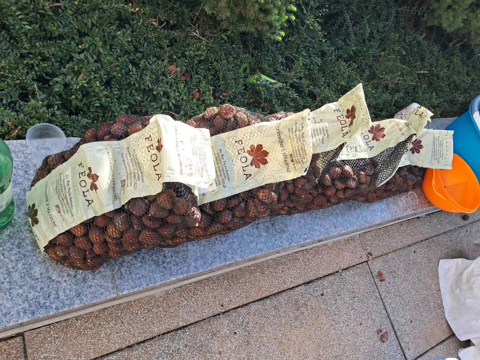 kestenijada prelog,rotary club (15)