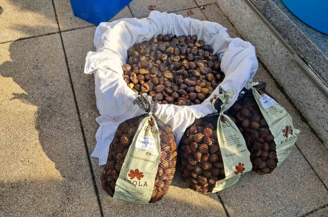 kestenijada prelog,rotary club (3) kestenijada prelog,rotary club (3)