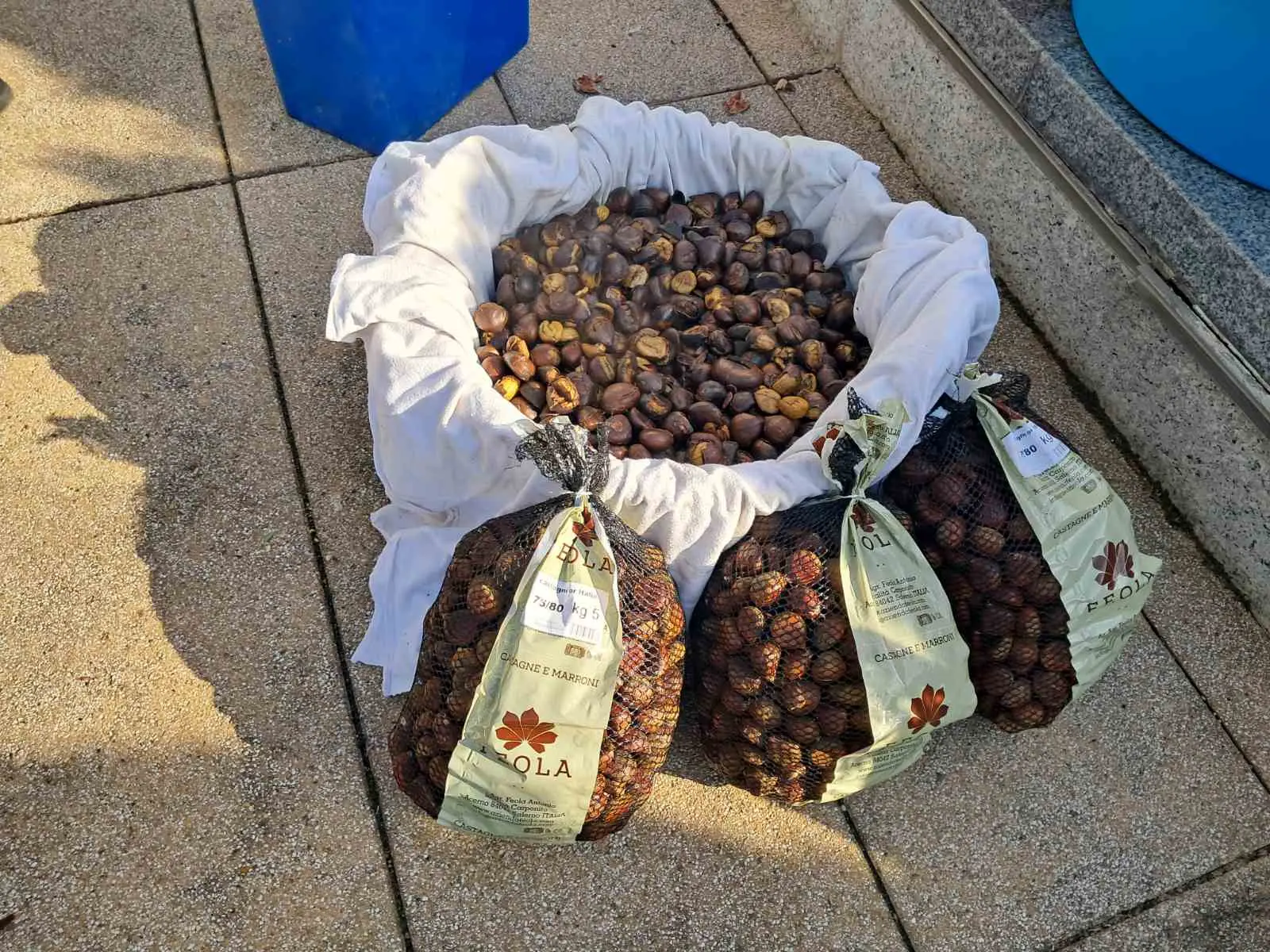 kestenijada prelog,rotary club (3)