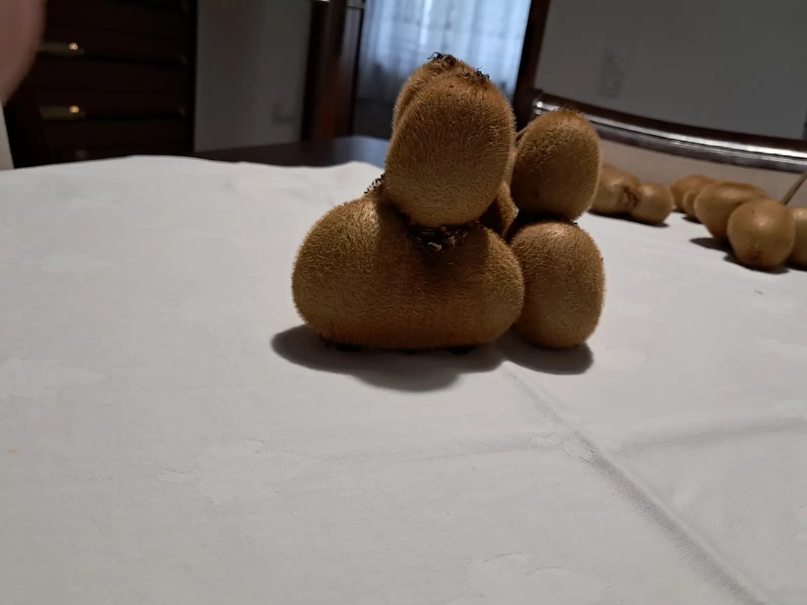 kivi dolenec (2) kivi dolenec (2)