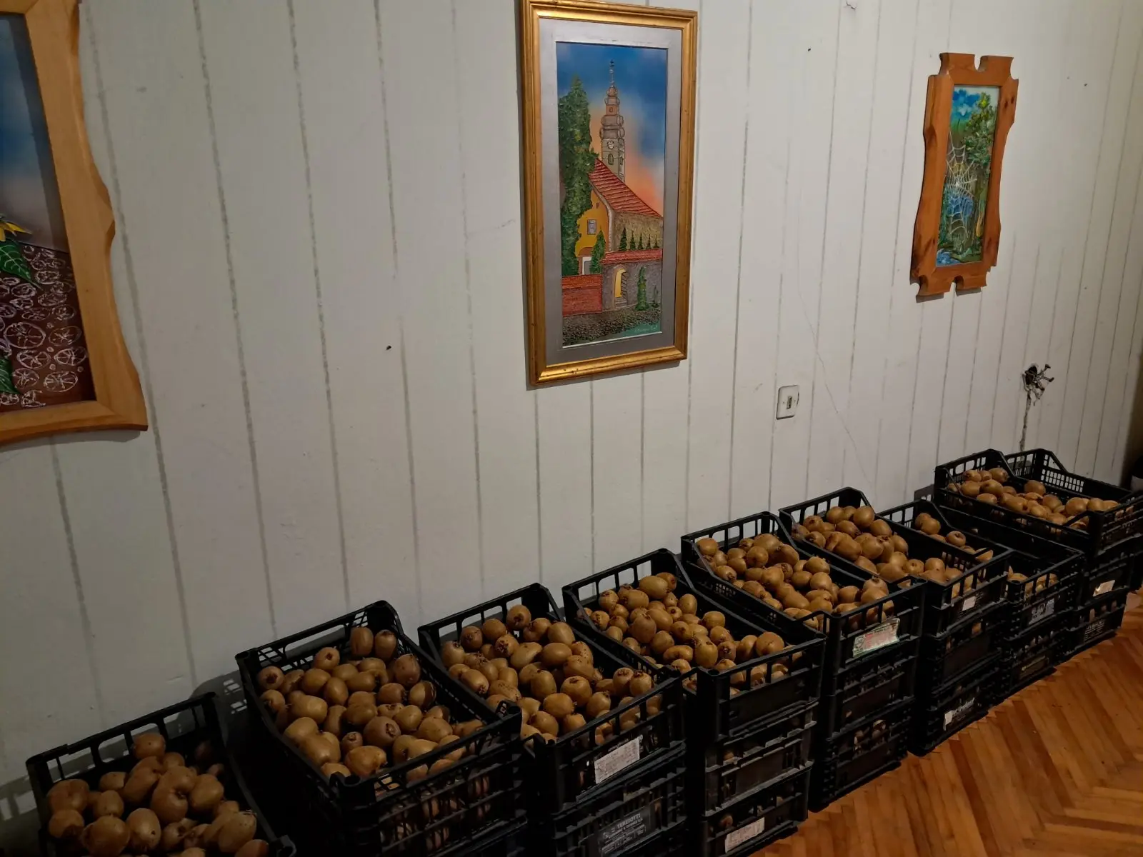 kivi dolenec (4) kivi dolenec (4)