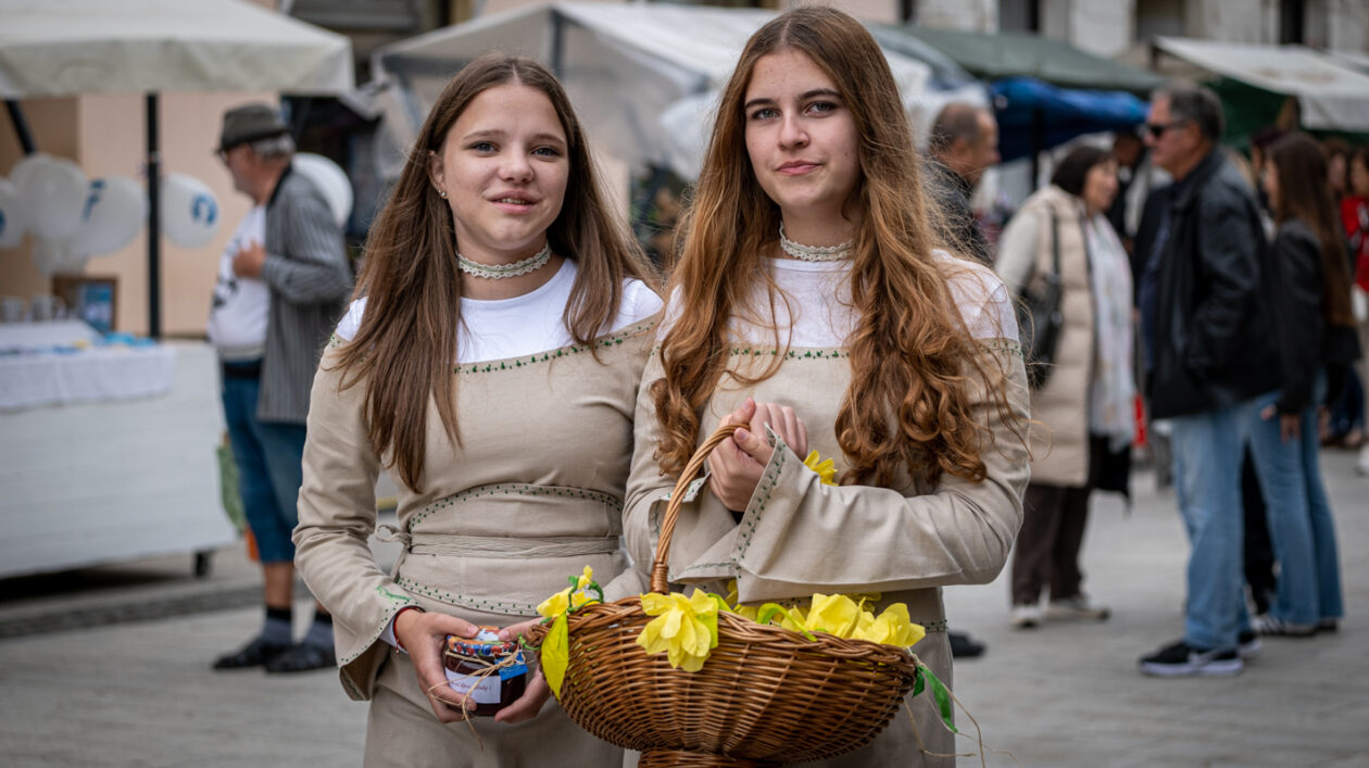 klikom po ČK 2709-17